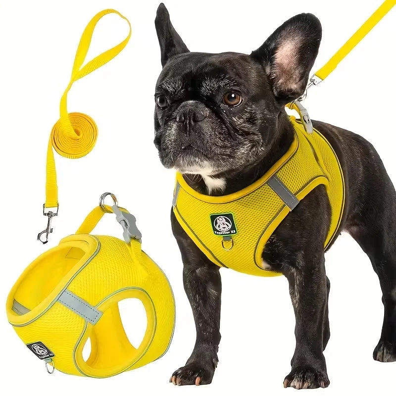 Dog Walking Harness
