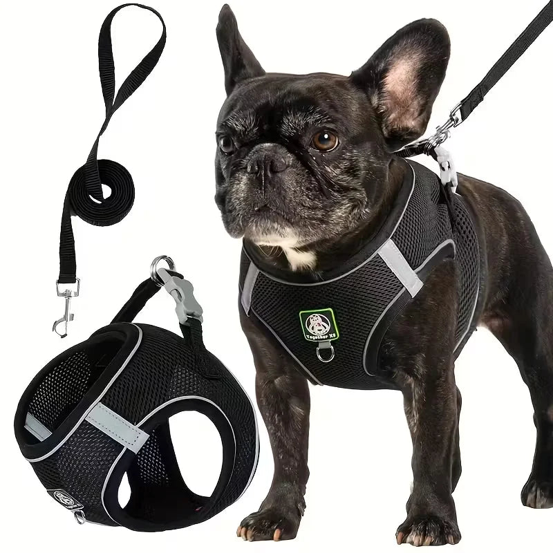 Dog Walking Harness