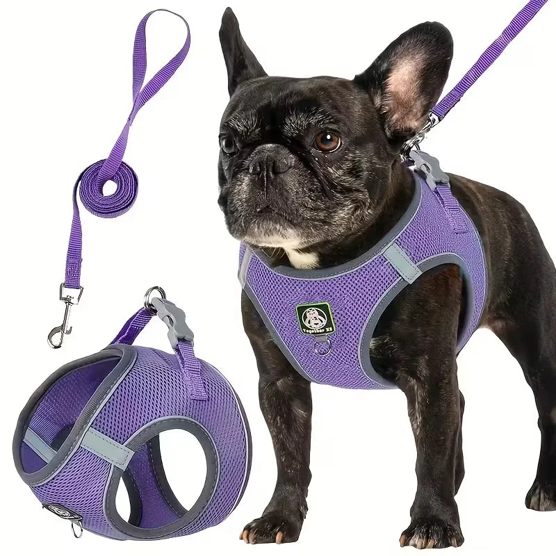 Dog Walking Harness