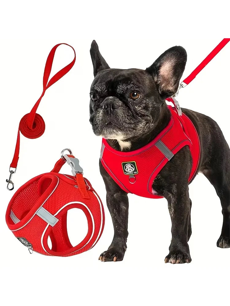 Dog Walking Harness
