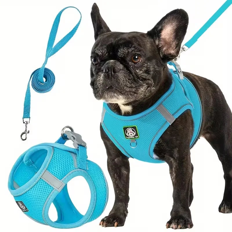 Dog Walking Harness