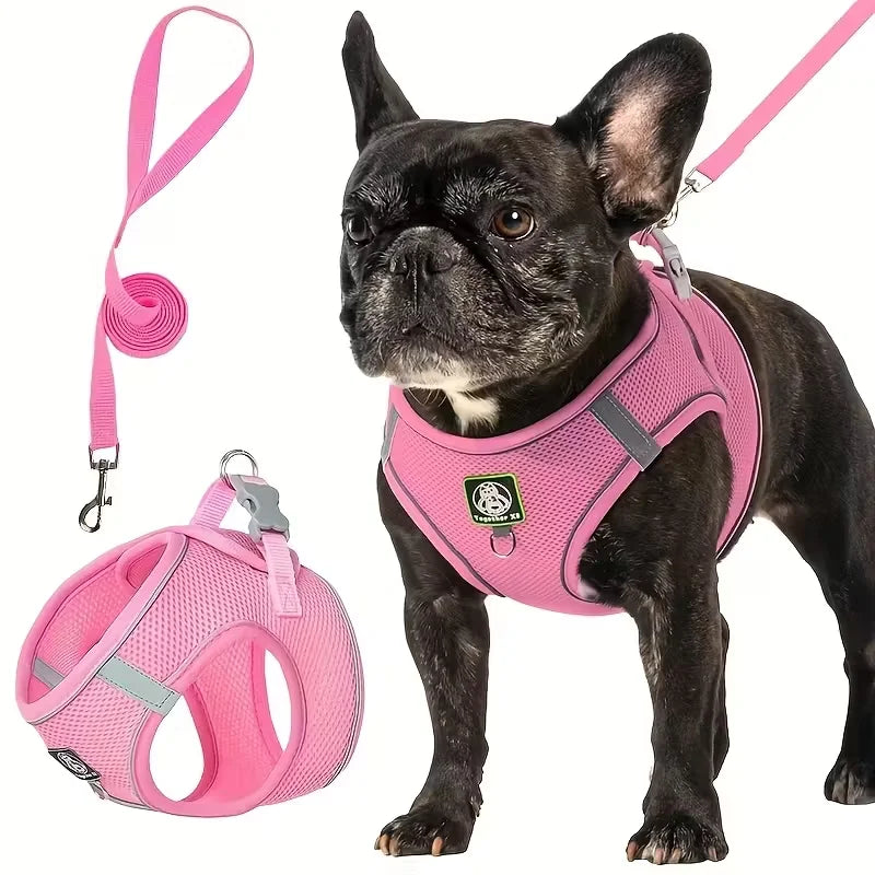 Dog Walking Harness