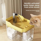USB Cat Water Fountain with Auto Filter Transparent Anti-Dry
