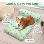 Summer Pet Ice Pad Cooling Mat