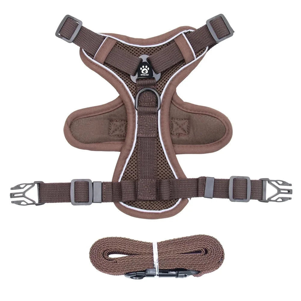Cat Harness and Leash Set