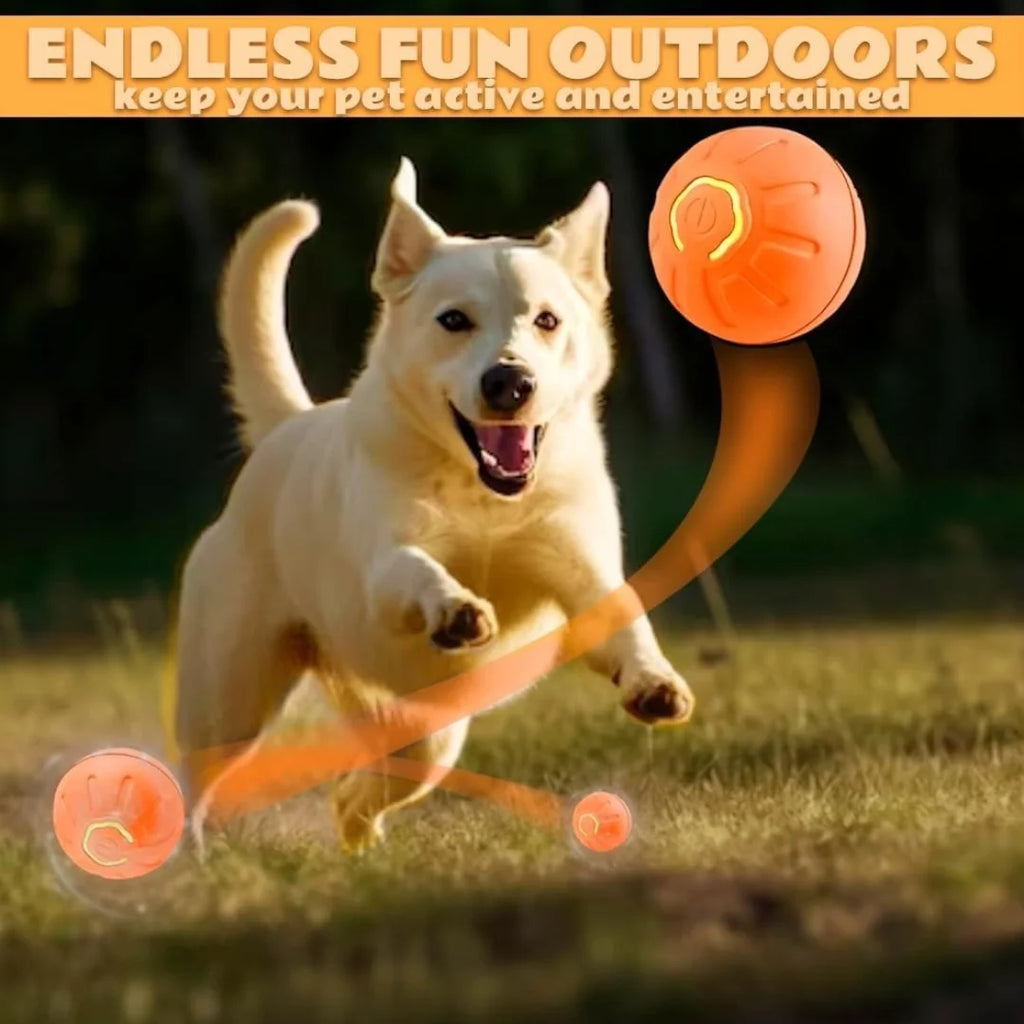 Pet toys Gravity Electric \