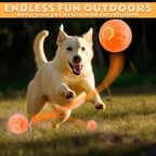 Pet toys Gravity Electric \