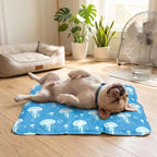 Hot Sale Pet Cooling Ice Mat For Dogs Cats