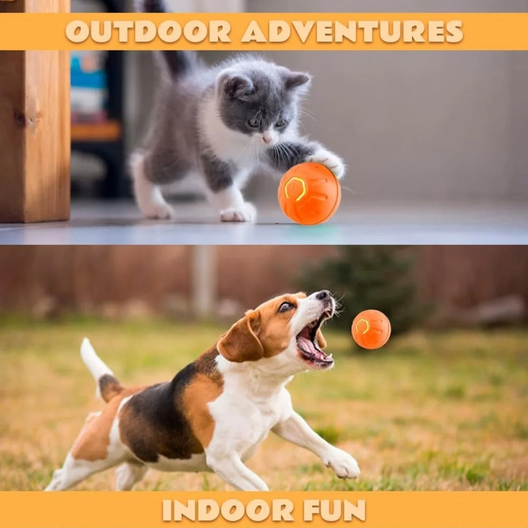 Pet toys Gravity Electric \