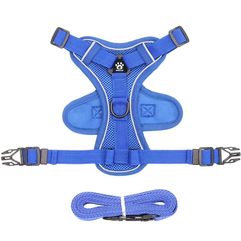 Cat Harness and Leash Set