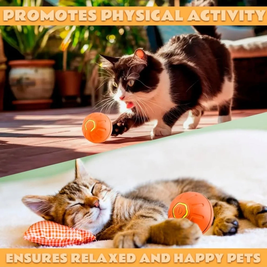 Pet toys Gravity Electric \