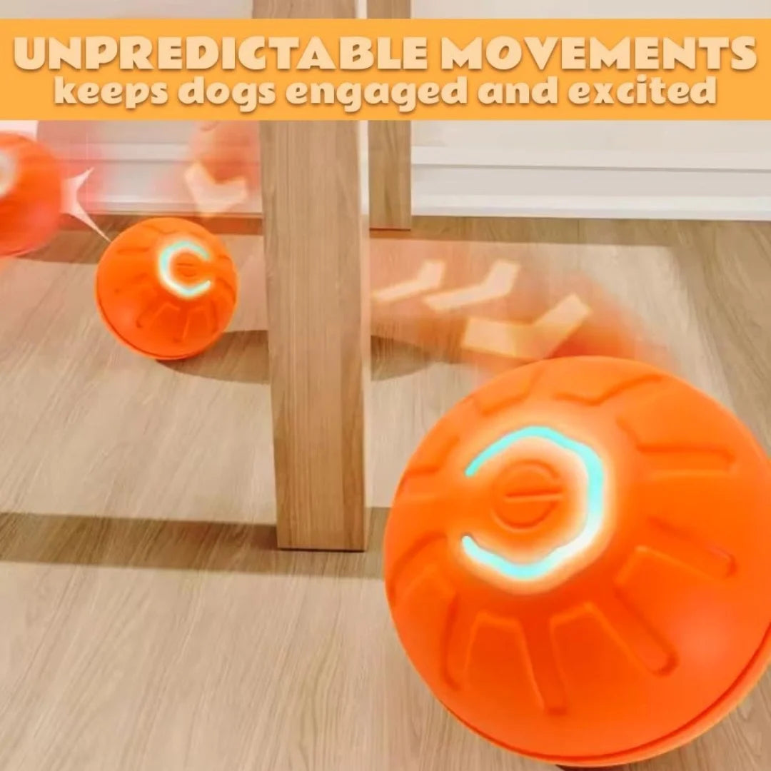 Pet toys Gravity Electric \