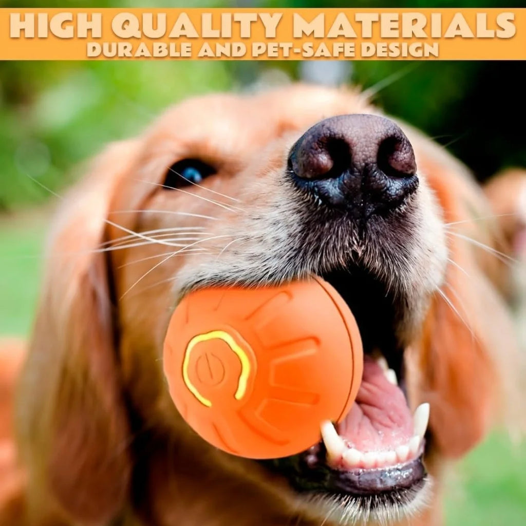 Pet toys Gravity Electric \