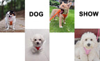 Soft mesh dog chest strap,