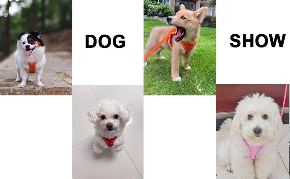 Soft mesh dog chest strap,