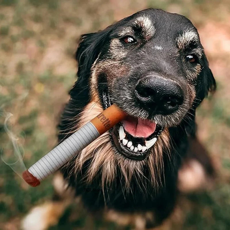 Funny Interactive Plush Dog Toys
